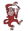 Monkey